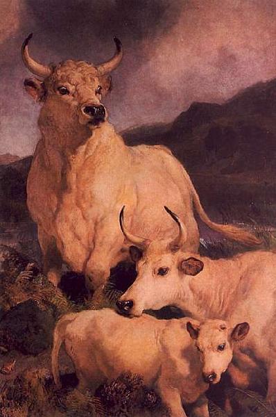 Sir Edwin Landseer Wild Cattle at Chillingham Germany oil painting art